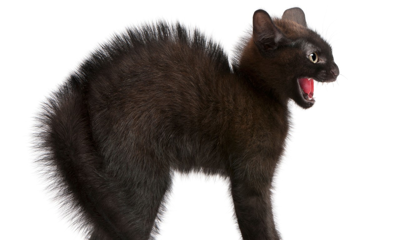 Halloween goosebumps, shivers and ‘skin orgasms’, and why we love to ...