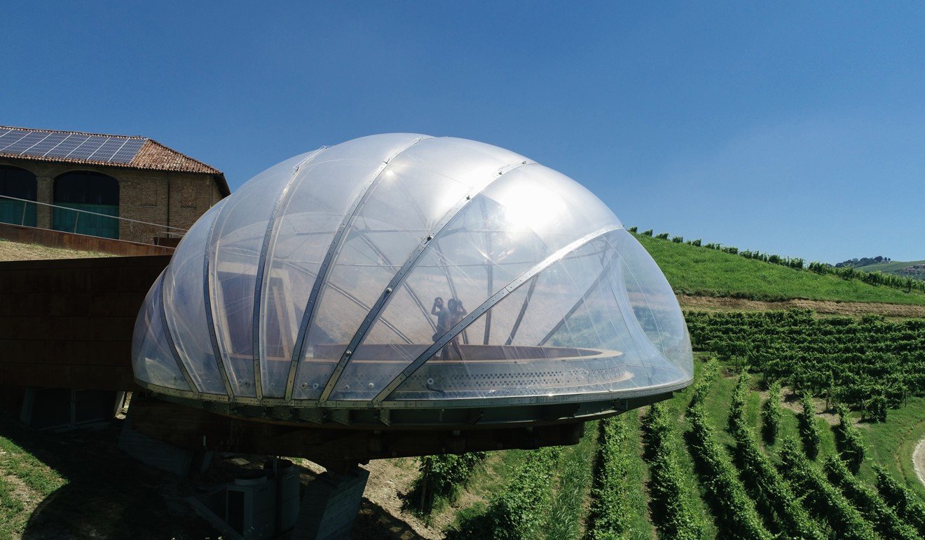 A Ceretto vineyard. Photo: Capsule48