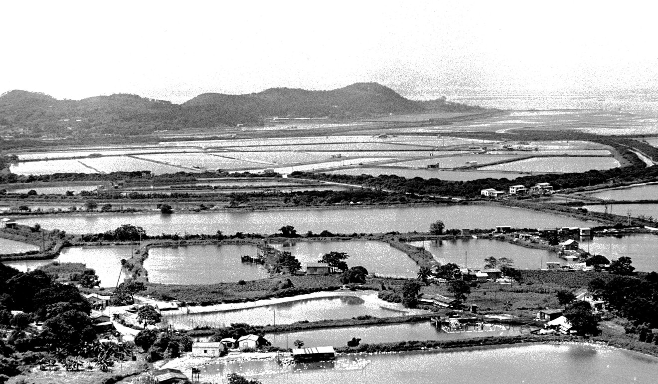 Land in Tin Shui Wai in the 1980s. Photo: David Wong