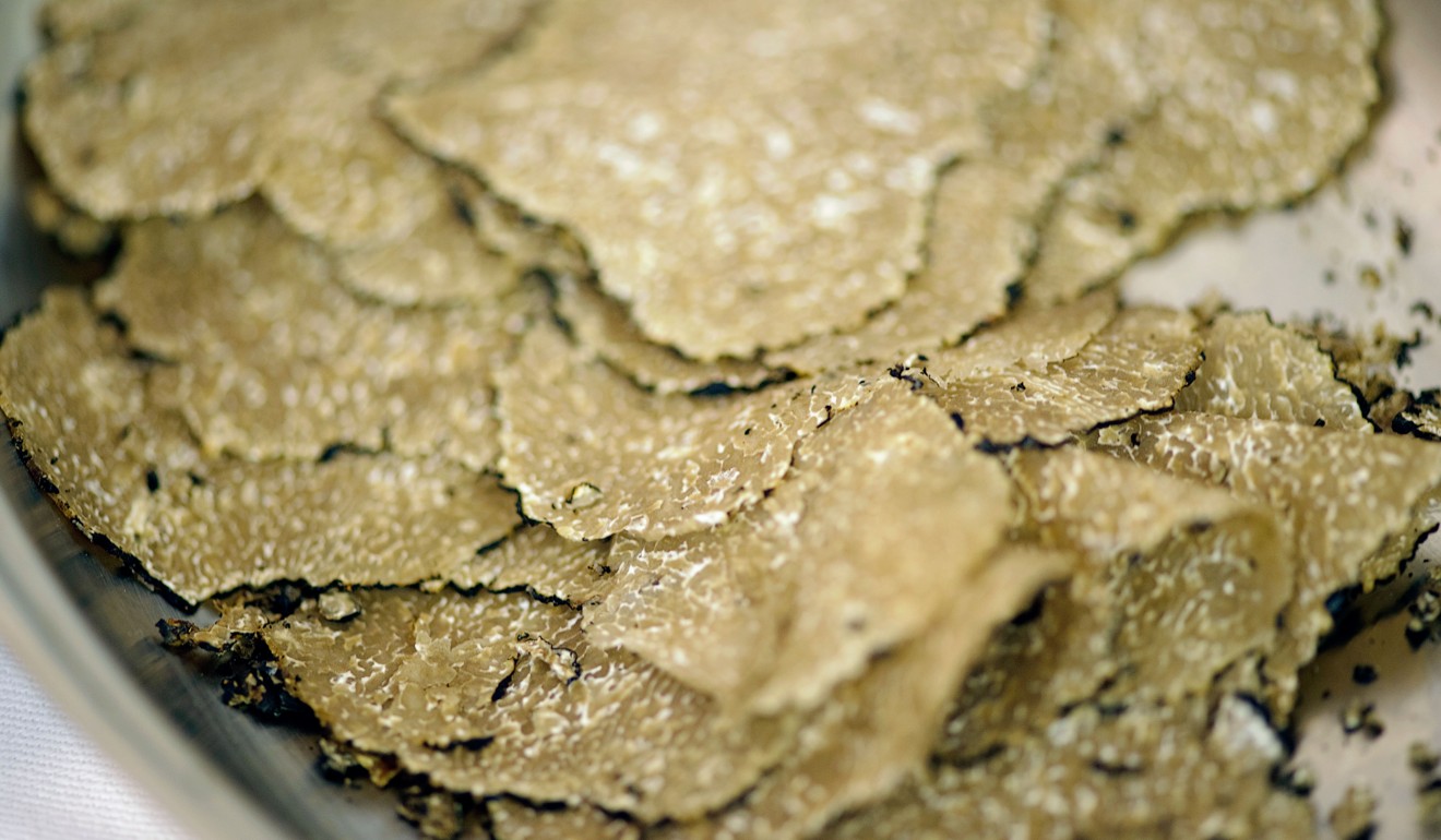 White truffles cannot be farmed, so they have to be foraged. Photo: Alamy