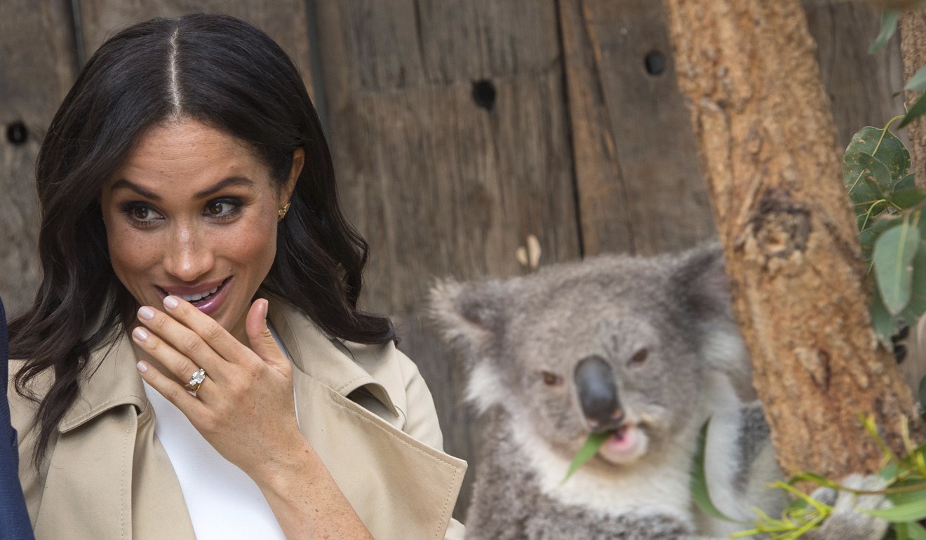 Meghan, Duchess of Sussex looks at koala during a tour of Taronga Zoo in Sydney during their Australia tour last month. Photo: AP