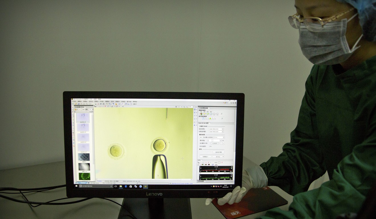 A researcher adjusts a monitor showing a video feed of another scientist moving a fine glass pipette containing Cas9 protein and PCSK9 sgRNA to an embryo under a microscope at a laboratory in Shenzhen in southern China's Guangdong province. Photo: AP