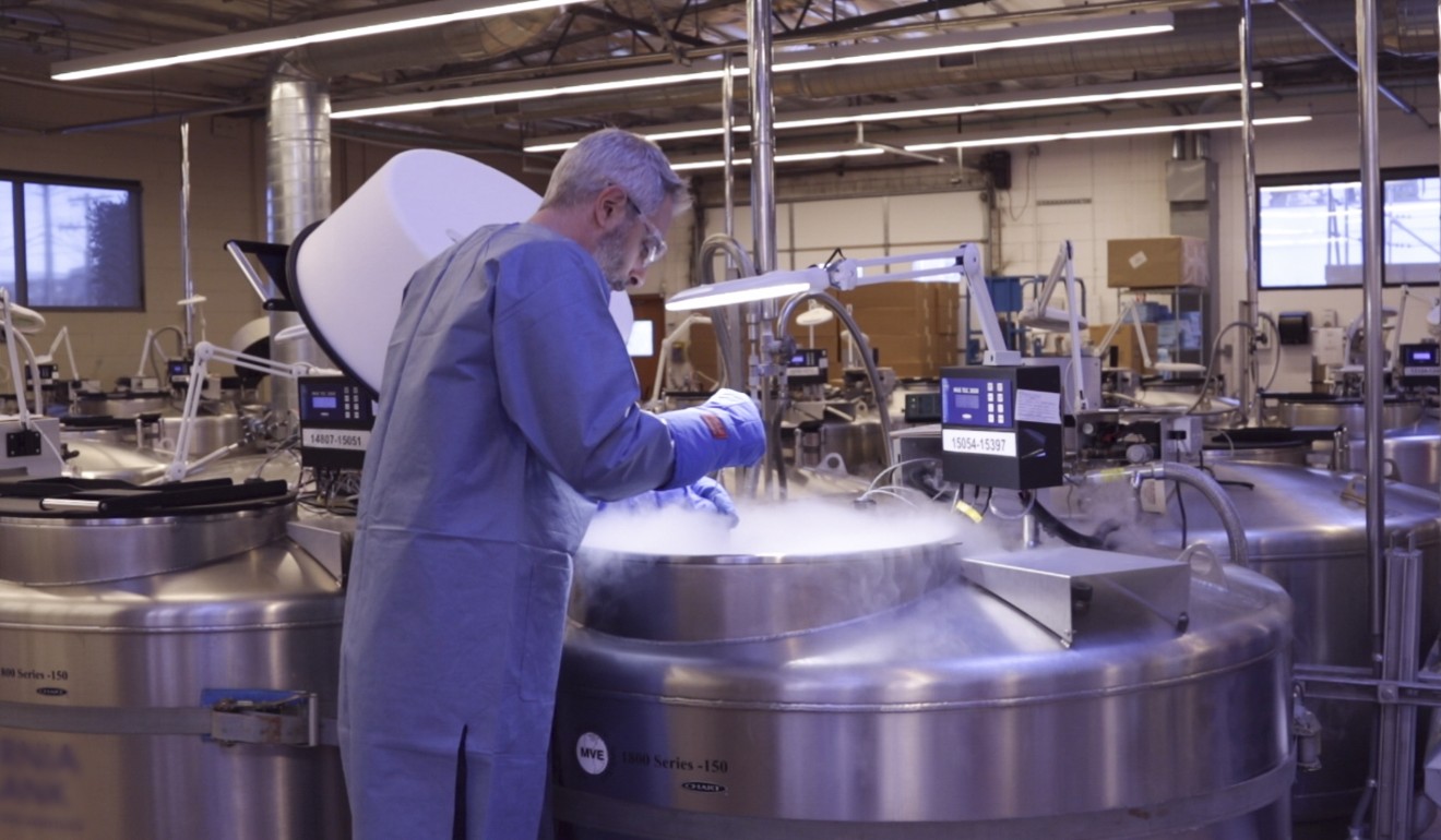 Eggs are cryogenically stored in a cryobank. Photo: courtesy of Borderless Healthcare Group