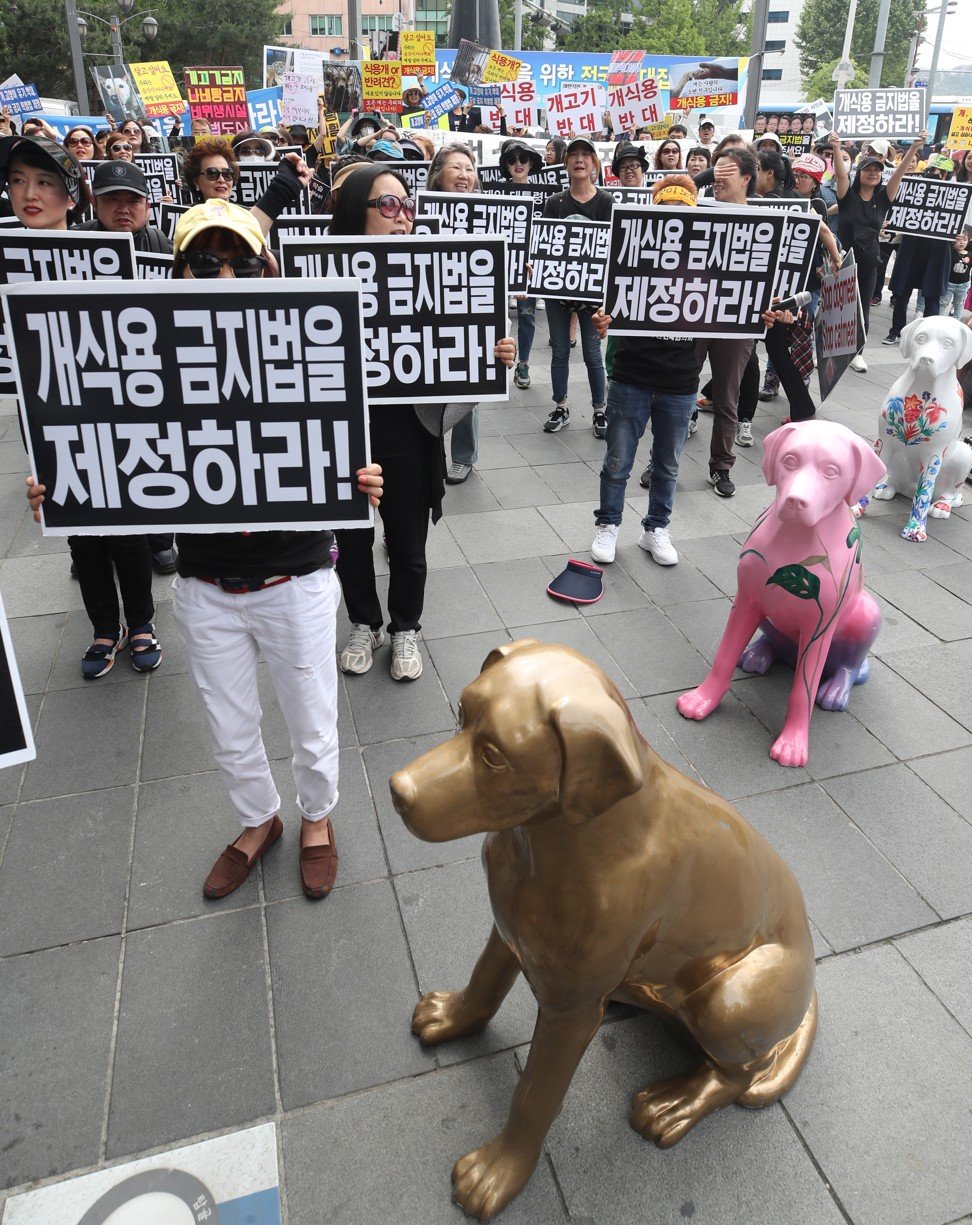 A group of activist stage a rally in downtown Seoul, South Korea to call for a law banning the human consumption of dog meat in May 2018. Photo: EPA-EFE