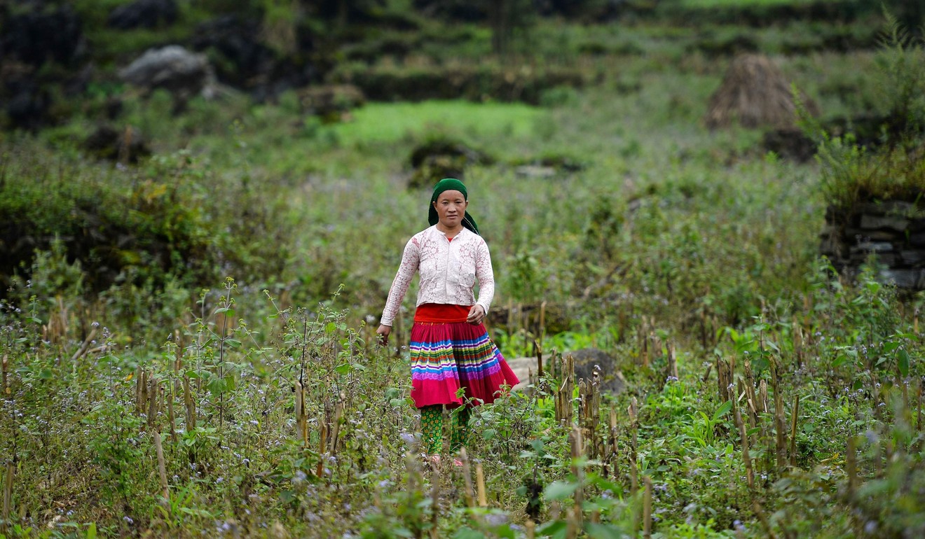 Vu Thi Dinh still searches for her missing daughter. Photo: AFP