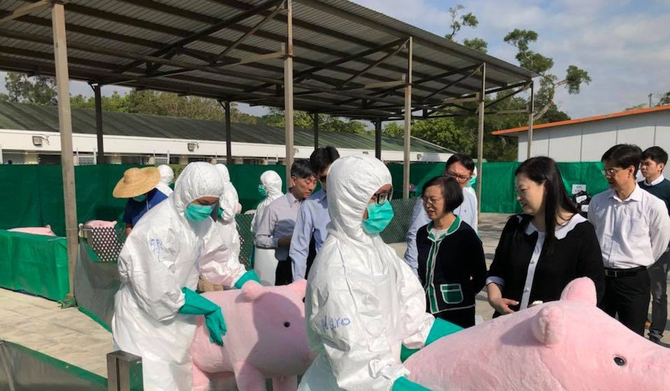 Health officers carry out a drill for the culling of pigs in the event swine flu reaches Hong Kong. Photo: Facebook