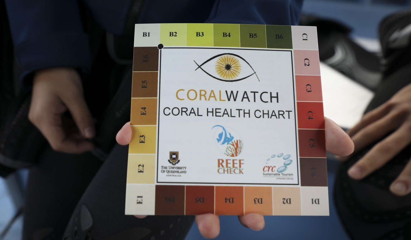 A coral health chart. Picture: James Wendlinger