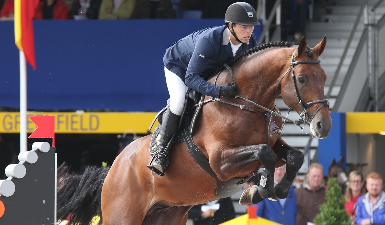 The stallion Eldorado Van De Zeshoek. Photo: Noemie Renard