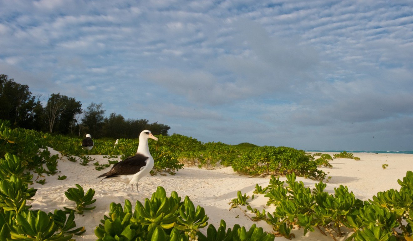 Midway Atoll in the Pacific Ocean was one of 94 islands annexed by the US for their guano. Photo: Shutterstock