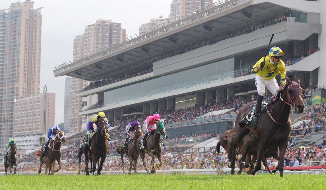 Hong Kong enjoys a leading position in the world of thoroughbred racing. Photo: Kenneth Chan