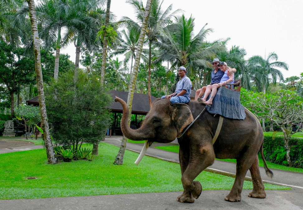 Elephants' spirits are broken through the “training” process that allows visitors to ride them. Travellers should avoid any activities that bring them into close contact with wild animals. Picture: Shutterstock