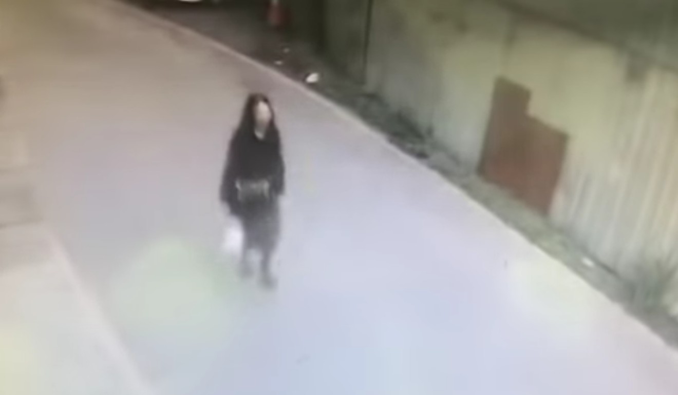 CCTV footage purporting to show a woman stealing the two cats in Taiwan. Source: YouTube