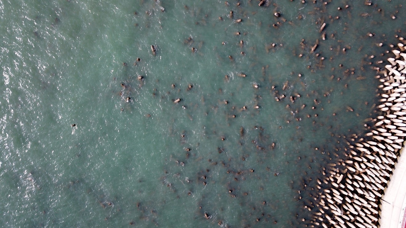 An arial view of the blocks, which authorities said had been purposely scattered.