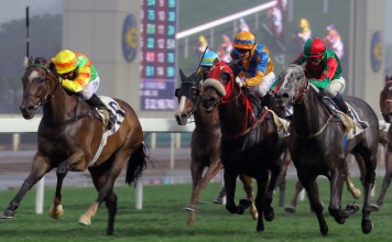 Neil Callan guides Mighty Maverick to victory at Sha Tin in March 2016. Photos: Kenneth Chan
