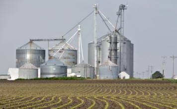 China to review eight kinds of US GMO crops in move that could spur seed sales