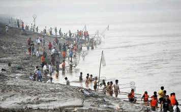 China has banned fishing in the Yellow River for the first time. Photo: Reuters