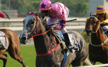 Hot King Prawn dashes to victory underneath Karis Teetan in the National Day Cup. Photos: Kenneth Chan