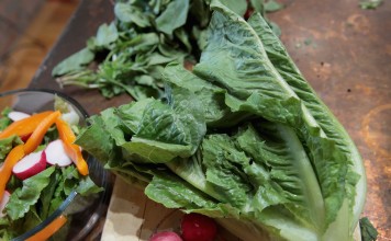 Health officials in Hong Kong have followed their counterparts in the US and Canada in warning people to avoid eating romaine lettuce, which has been linked to an E coli outbreak that has caused dozens of people to become ill. Photo: Getty Images