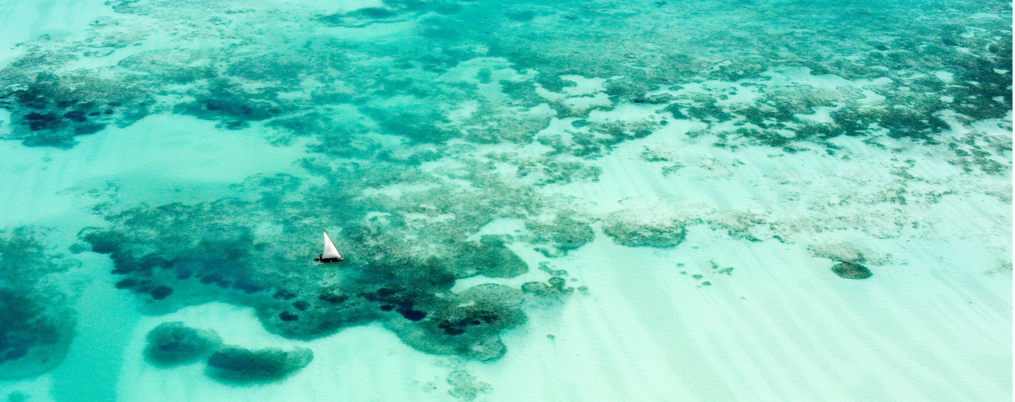 Reefs in the Pemba Channel, Zanzibar. Picture: Alamy