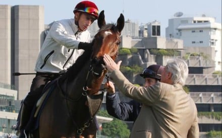 Trainer Francois Doumen pats Siyouma after his filly did a smashing 1,200m turf gallop with Gerald Mosse yesterday.