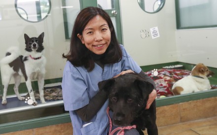 Teresa Lee Sy-jia, welfare programme manager at SPCA Hong Kong, advises pet owners to think carefully before owning an animal. Photo: Nora Tam