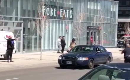 The Incel Rebellion Chads And Stacys Bizarre Online Community