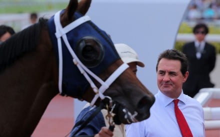 Michael Freedman looks over Fiama after his win at Sha Tin on Sunday. Photos: Kenneth Chan