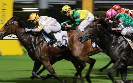 Bundle Of Energy (right) finishes third to Good Companion on Wednesday night. Photo: Kenneth Chan