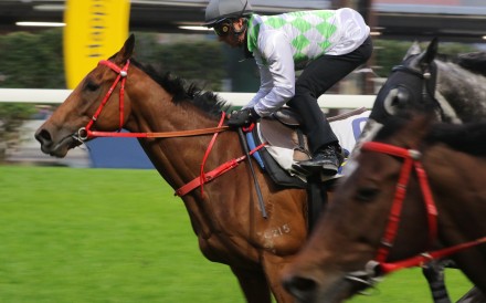 Fat Turtle trials under Zac Purton at Happy Valley in January. Photos: Kenneth Chan