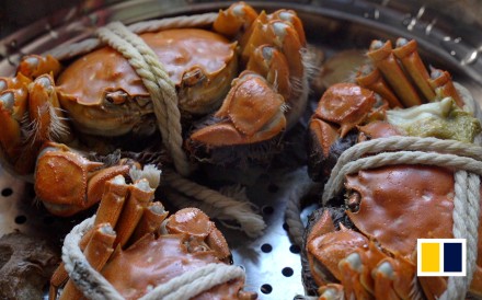 Why hairy crab is all the craze in China