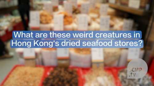 Mysterious creatures and how we eat them: Hong Kong’s dried seafood