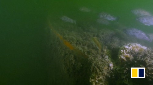 Wreckage of Chinese warship the Jingyuan, which sank in 1894, discovered