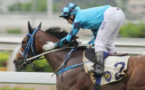 Dance For Gold, who will be sporting blinkers for the first time, should get the race run to suit in the middle leg of the TT.