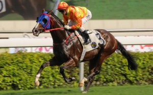 Bobo Dragon takes full advantage of a soft lead to kick away and claim his second successive victory for Zac Purton, who now trails Douglas Whyte by three. Photo: Kenneth Chan