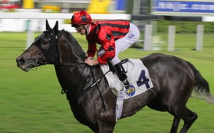 Divine Ten became the 31st horse out of Holy Roman Emperor to win in Hong Kong on Wednesday - yet the Coolmore stud is in little demand elsewhere. Photo: Kenneth Chan