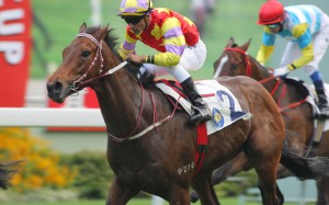 IN THE RED CORNER: Designs on Rome, an impressive winner of the Chevalier Cup (1,600m) at Sha Tin. Photo: Kenneth Chan.