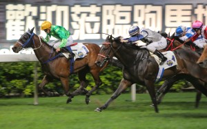 Speedygonzalez makes it five wins from his last six starts at Happy Valley on Wednesday night. Photo: Kenneth Chan