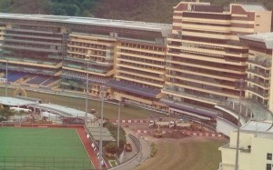 The work at Happy Valley started the morning after the last meeting. Photo: Twitter (@wazzawazza10)