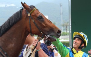 Breeders' Cup Sprint-bound Rich Tapestry will not race on controversial diuretic Lasix in the United States after a HKJC edict. Photos: Kenneth Chan