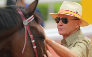 Trainer John Moore hopes Dan excel will be well enough for the Group One Toorak Handicap on October 11. Photo: Kenneth Chan   