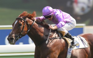 Zac Purton punches out Star Track to just hold off Thunder Flyer. Photo: Kenneth Chan