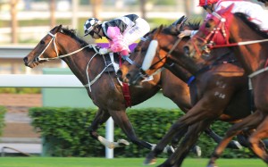 Matthew Chadwick steers the Tony Cruz-trained Beauty Flame to an all-the-way victory in the Panasonic Cup for prominent owner Simon Kwok Siu-ming. Photos: Kenneth Chan