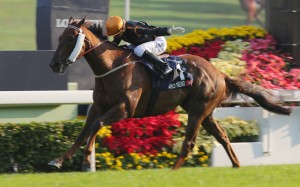 Hong Kong Mile winner Able Friend would be a drawcard for Sydney's The Championships, but how likely is it that he'll head to Australia? Photo: Kenneth Chan