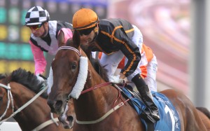 There are plenty of factors that will guide the decision as to where Able Friend races next. Photos: Kenneth Chan