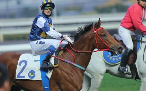 Luger's dominant win on Sunday has given Douglas Whyte a headache ahead of the Hong Kong Derby. Photo: Kenneth Chan