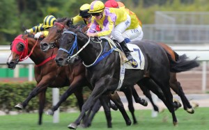Zac Purton gets to work on Renaissance Art who finishes strongly to breakthrough for a win. Photos: Kenneth Chan