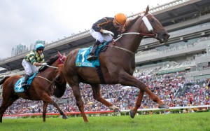 Able Friend is bound for England, with the champion miler set to tackle the Queen Anne Stakes at Royal Ascot next month. Photo: Kenneth Chan