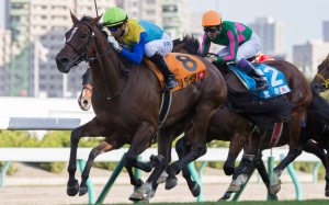 Joao Moreira partners Jungle Cruise (No 8) to victory in the second leg of the World All-Star Jockeys series at Sapporo Racecourse. Photos: SCMP Pictures 
                            