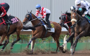The Sprinters Stakes is no longer on the agenda for Lucky Nine. Photos: Kenneth Chan 