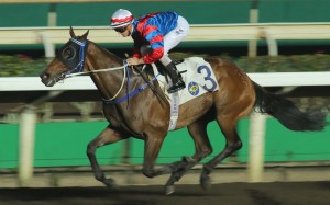 Gun Pit will be on a plane on Tuesday as he begins his overseas campaign in Chukyo, Japan. Photo: Kenneth Chan 